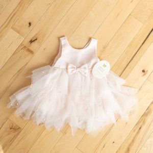 Blush Pink American Princess Dress (12 months)